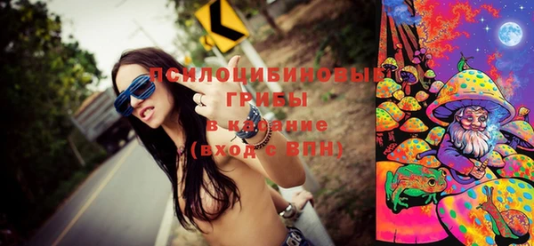 марки lsd Абаза