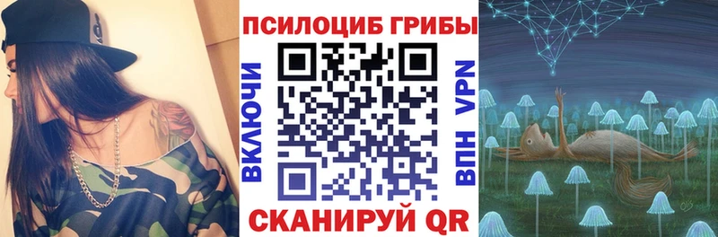 Галлюциногенные грибы Psilocybine cubensis  omg tor  Зубцов 